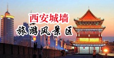 屄操黄瓜中国陕西-西安城墙旅游风景区
