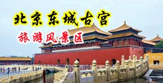 日逼屁眼小说视频中国北京-东城古宫旅游风景区